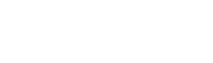 Next Star Logo
